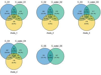 Multigenerational exposure of microplastics on the microbiota of E. affinis (copepod): a comparative study between biodegradable and nonbiodegradable microplastics